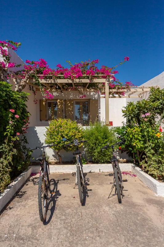 Glaros Kouremenos Apartment Palekastro Exterior photo