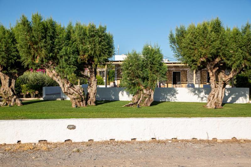 Glaros Kouremenos Apartment Palekastro Exterior photo